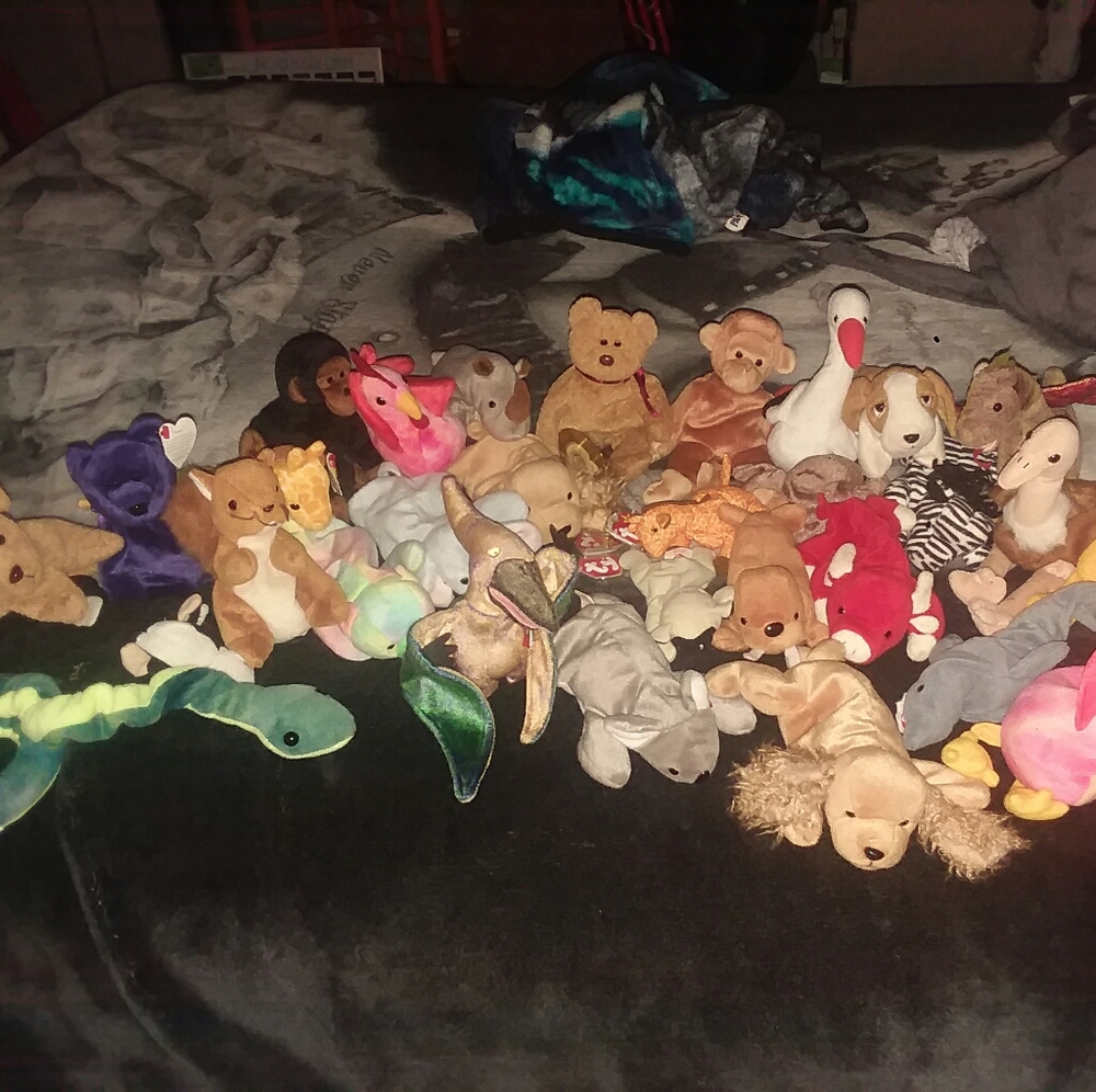 Beanie Babie Bundle